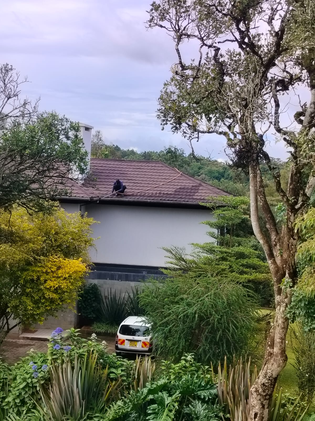 Gutter Cleaning