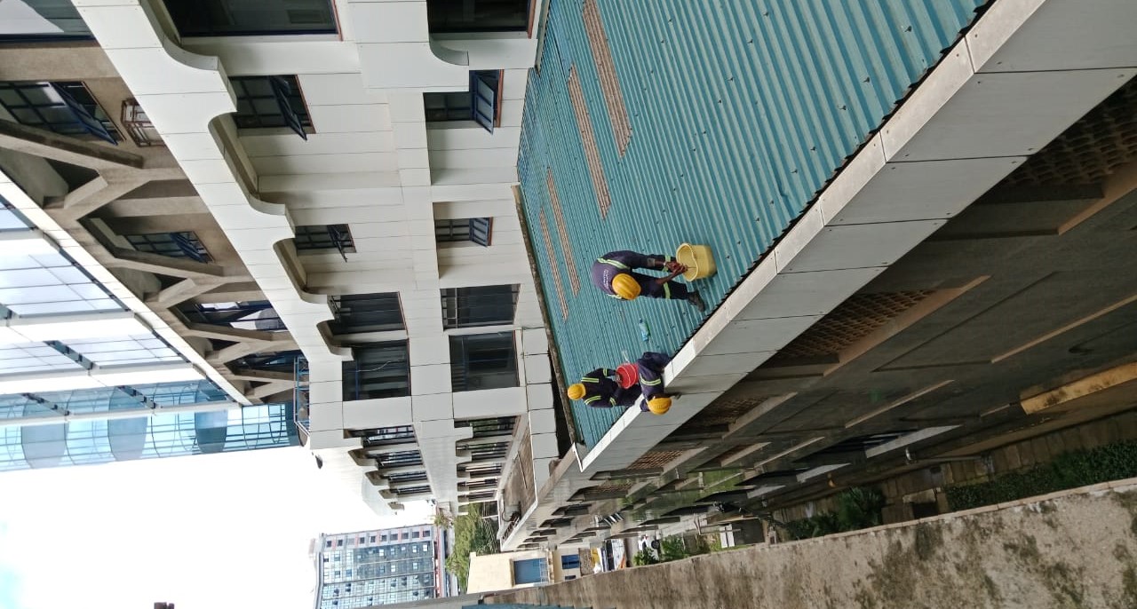 Gutter Cleaning