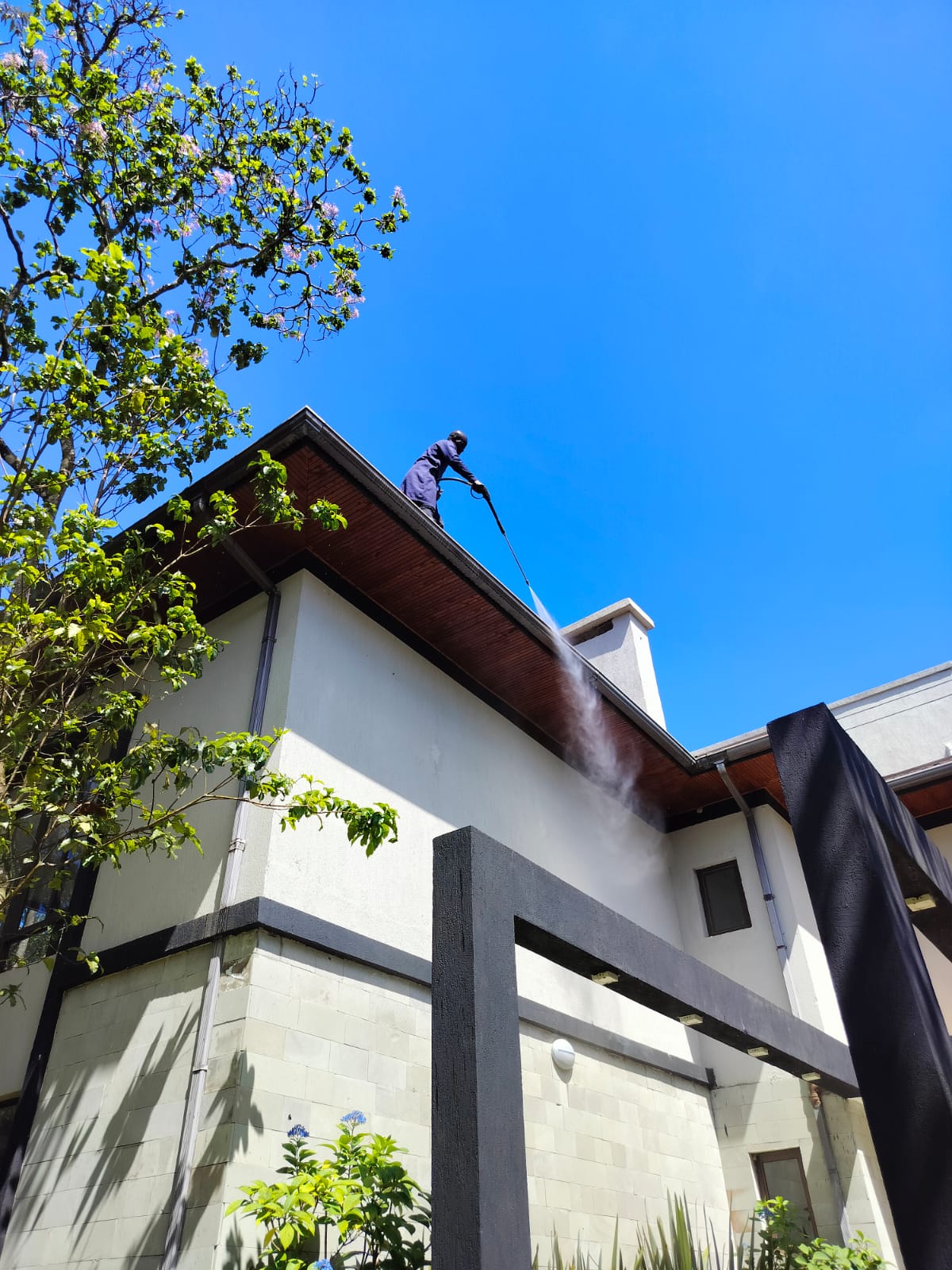 Gutter Cleaning