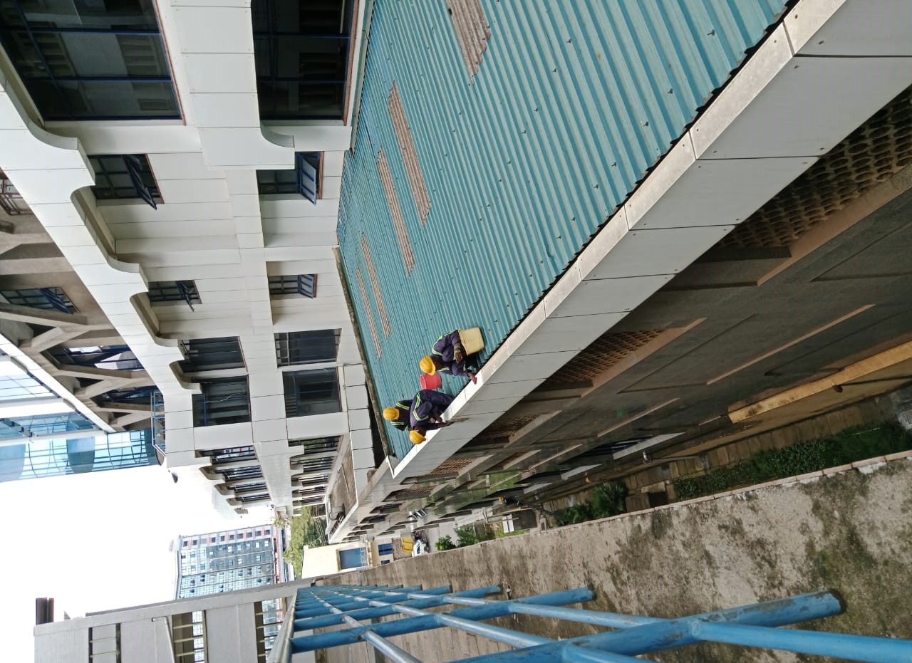 Gutter Cleaning