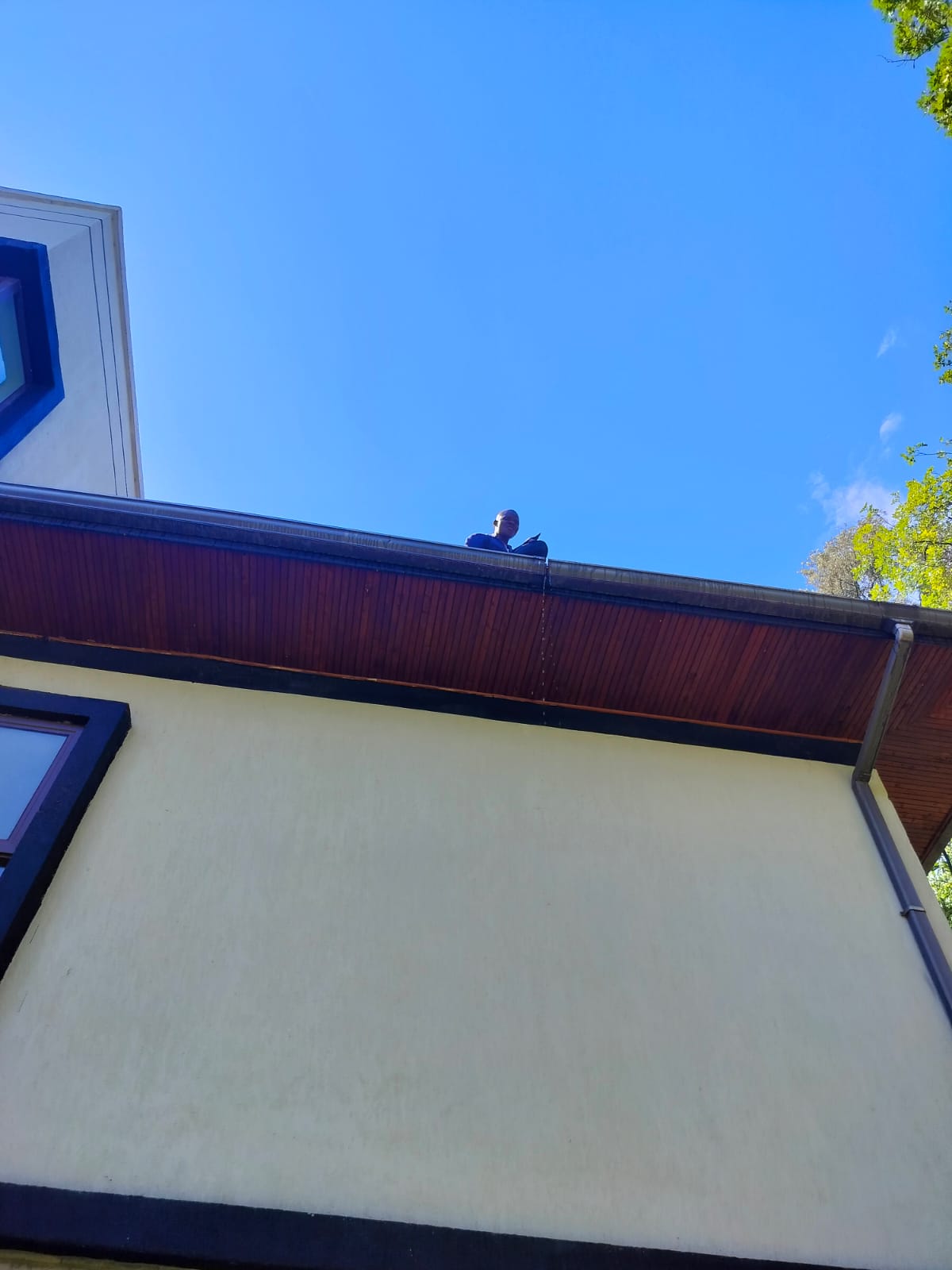 Gutter Cleaning