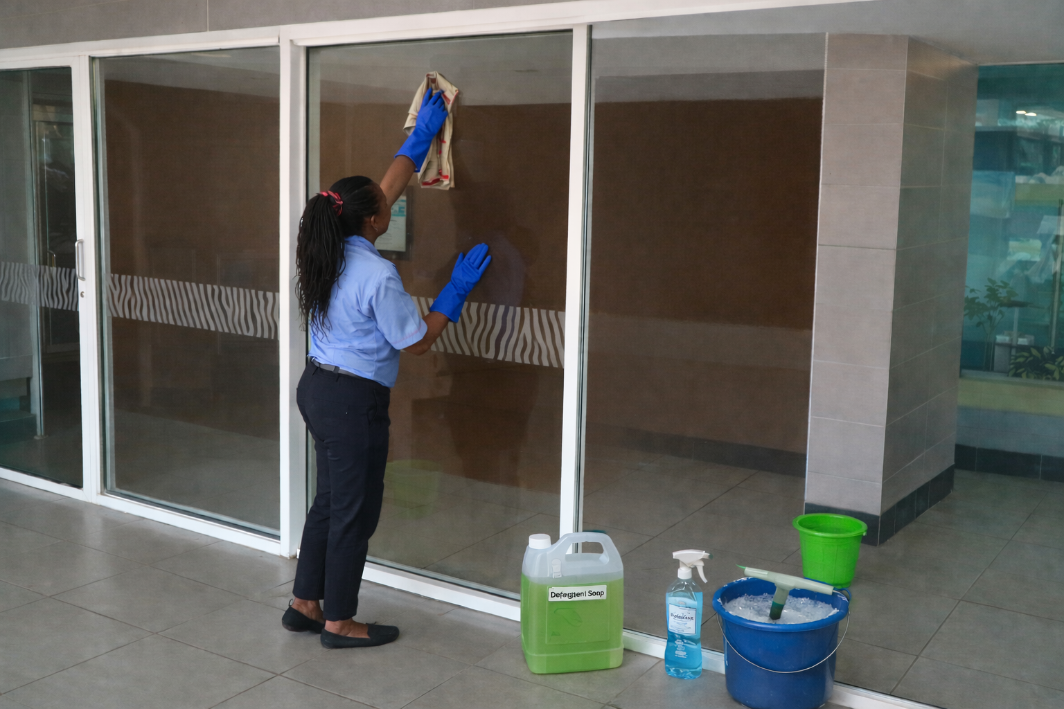 Window Cleaning